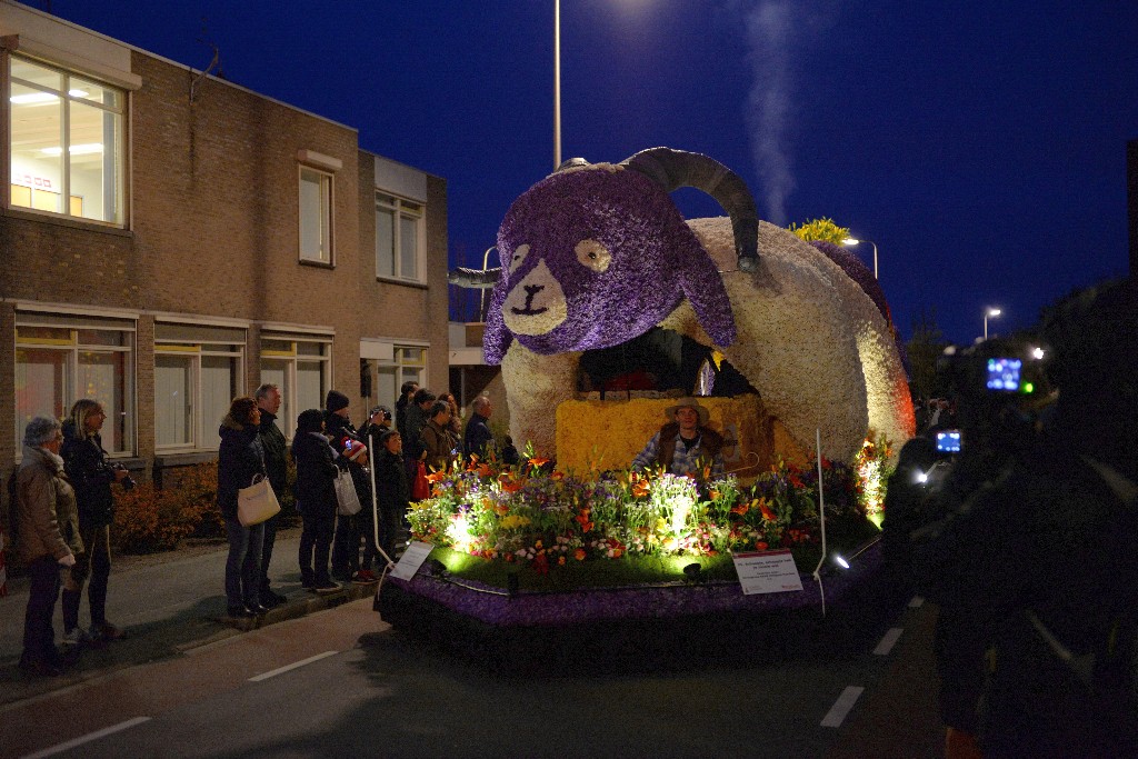 ../Images/Bloemencorso Noordwijkerhout 232.jpg